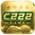 c222 Game