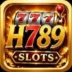 H789 Game