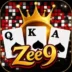 zee9 game
